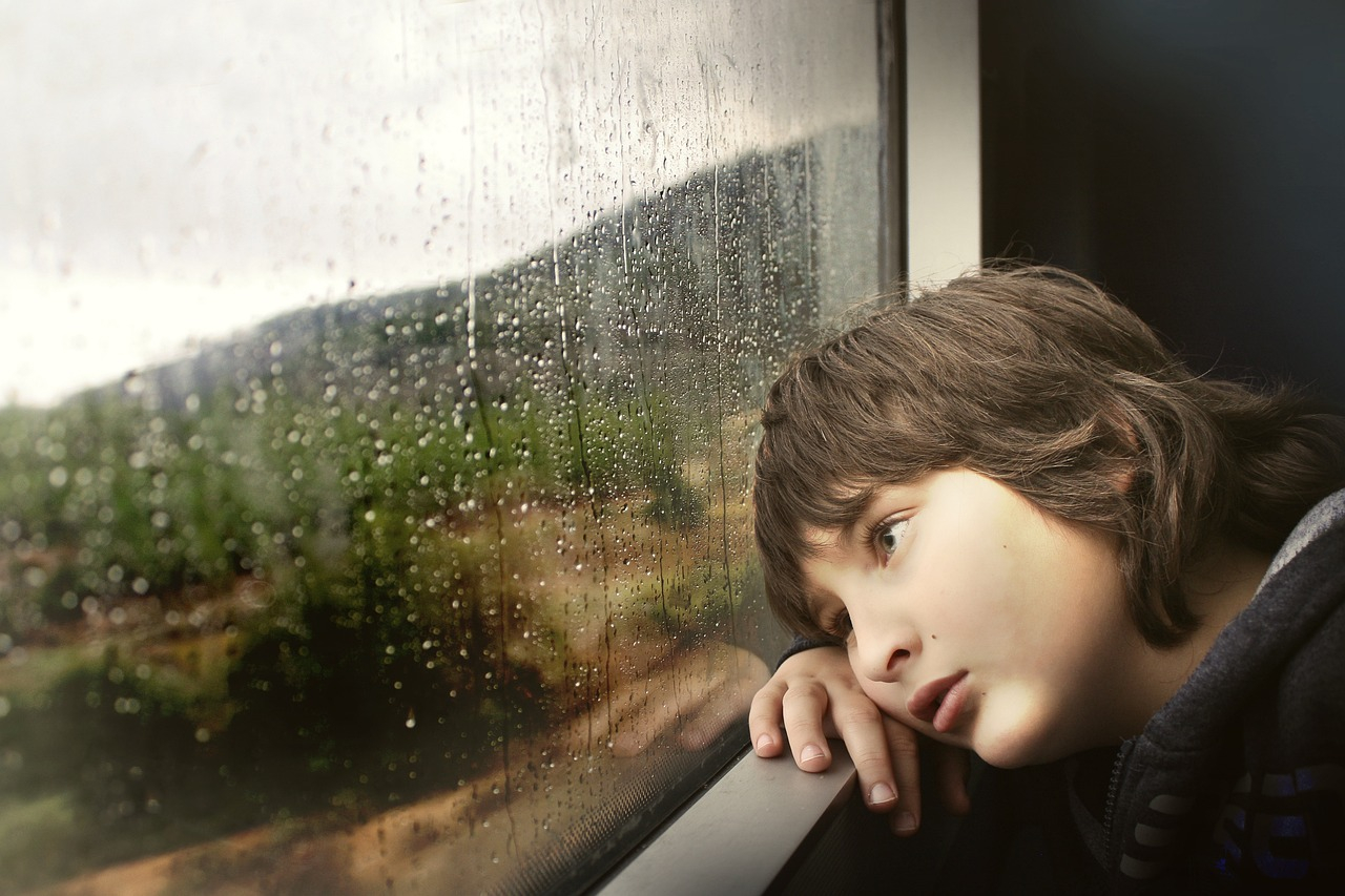 files/2024/07/13/little-boy-731165-1280.jpg