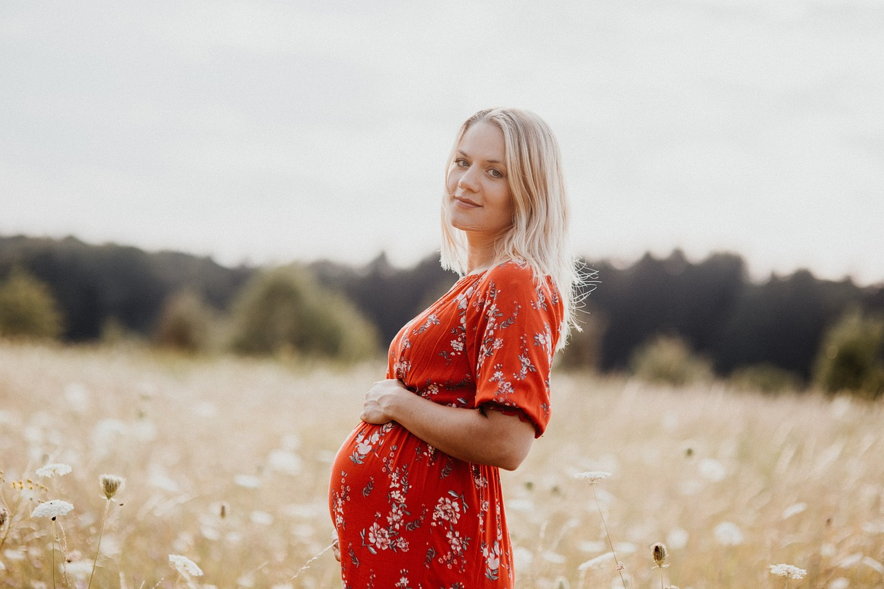 files/2024/08/19/pregnancy-5098881-1280.jpg