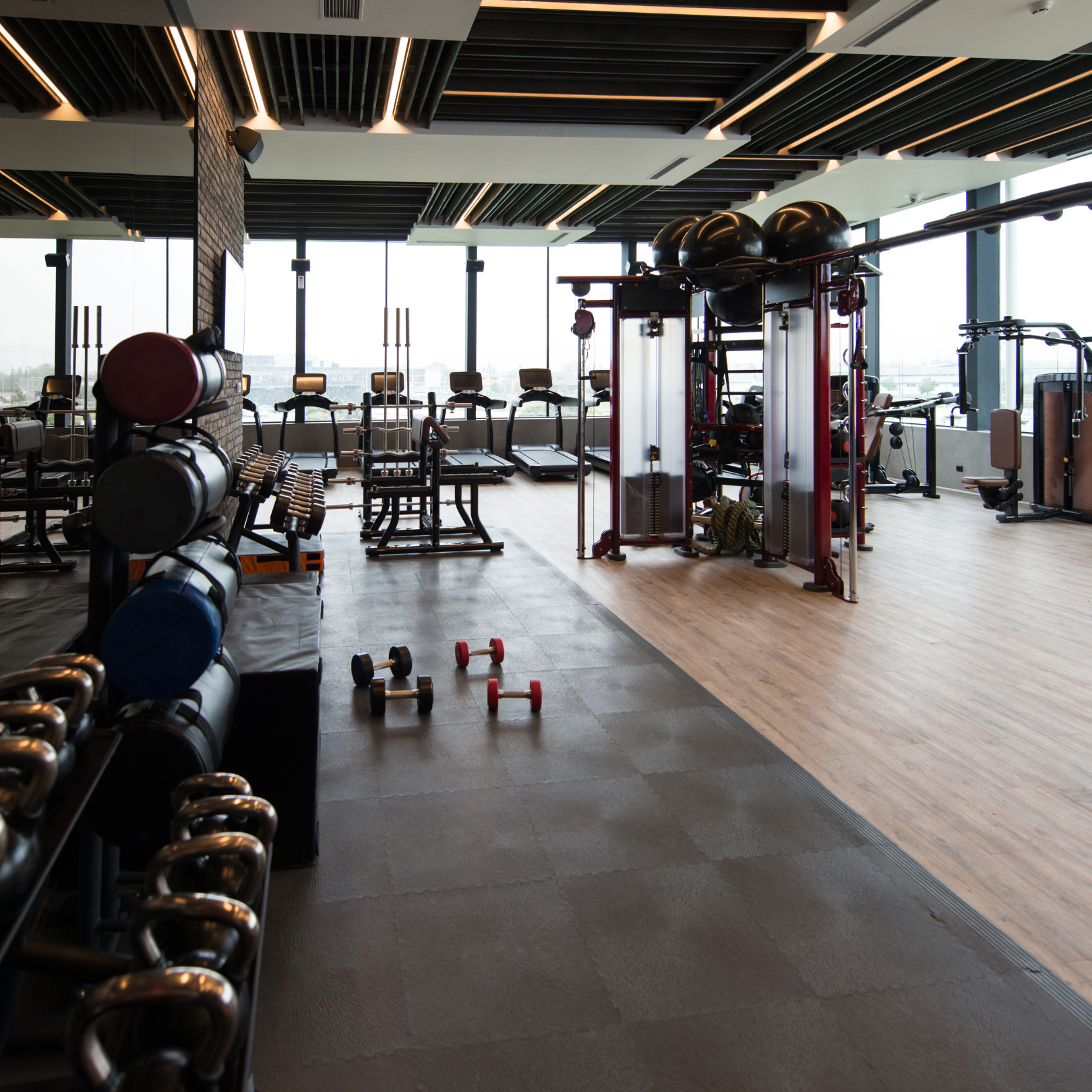 fitness